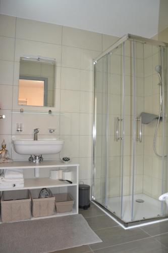 ein Bad mit einer Dusche und einem Waschbecken in der Unterkunft Studio Doux rayon in Lausanne