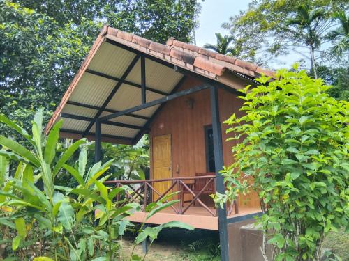 สวนหย่อมนอก Khao Sok River & Jungle Resort
