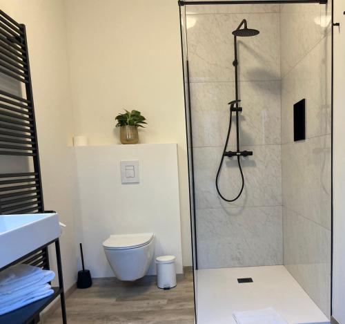 a bathroom with a shower and a toilet at RS10 Turnhout in Turnhout
