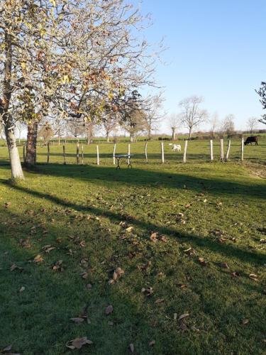a park with a fence and a tree in a field at Le Verger (Le Plessis) in Colombiers