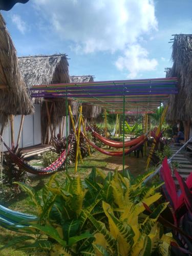 ośrodek wypoczynkowy z hamakami na dziedzińcu w obiekcie Cabaña Beach Palomino w mieście Palomino