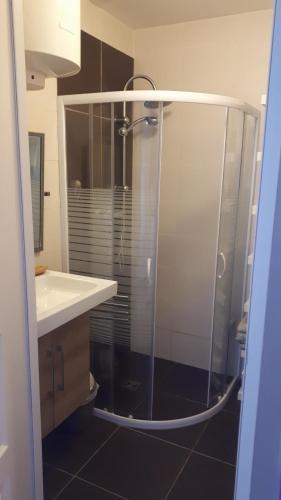 une salle de bain avec une douche, un lavabo et un miroir dans l'établissement Logement Privatif à 5min du lac de Rille, à Savigné-sur-Lathan