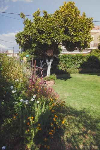 a garden with a tree and flowers in a yard at Small Guesthouse In The Garden in Amarinthos