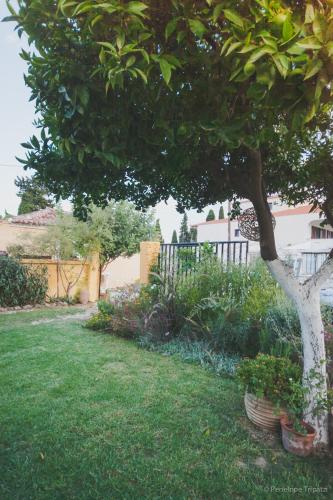 a tree in a yard with some plants at Small Guesthouse In The Garden in Amarinthos