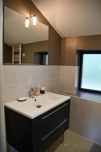 a bathroom with a sink and a mirror at B&B Angueur in Montrem