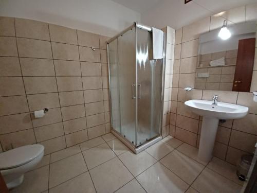 a bathroom with a shower and a sink and a toilet at Il Convento in Cusano Mutri