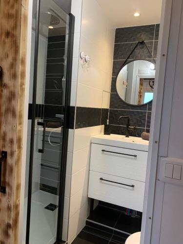 a bathroom with a shower and a sink and a mirror at Gîte Old Car Home hyper centre-ville in Compiègne