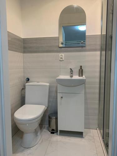 La salle de bains est pourvue de toilettes, d'un lavabo et d'un miroir. dans l'établissement Apartament pod Zamkiem Chojnik, à Jelenia Góra