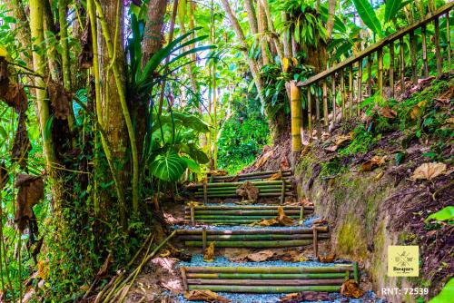 a set of stairs in a jungle with trees at Bosques de la Pradera in Manizales