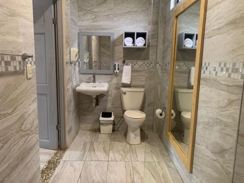 a bathroom with a toilet and a sink and a mirror at Hotel Las Palmas de OSA in Ciudad Cortés