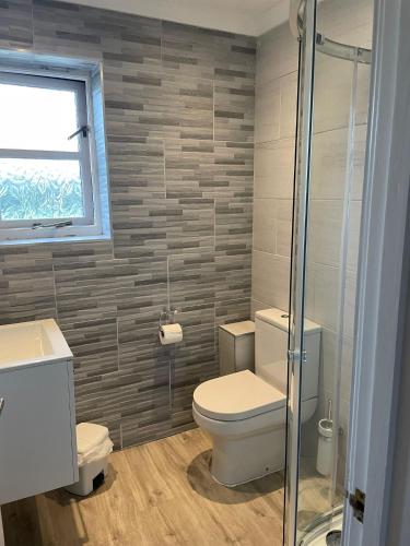 a bathroom with a toilet and a window at Rose Cottage in Camelford