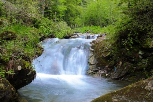 a waterfall in the middle of a river at Хата Різьбяра - Закуток in Beloberëzka