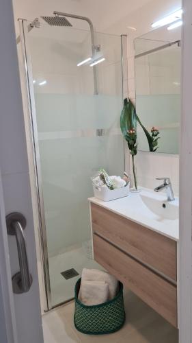 ein Bad mit einem Waschbecken und einer Dusche in der Unterkunft Apartamento en Bajamar -Tenerife in Bajamar