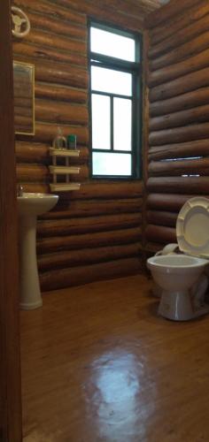 a bathroom with a toilet and a sink and a window at La Casita de Oxapampa in Oxapampa