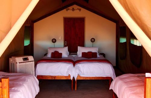 a bedroom with two beds in a tent at Kalahari Anib Camping2Go in Mariental