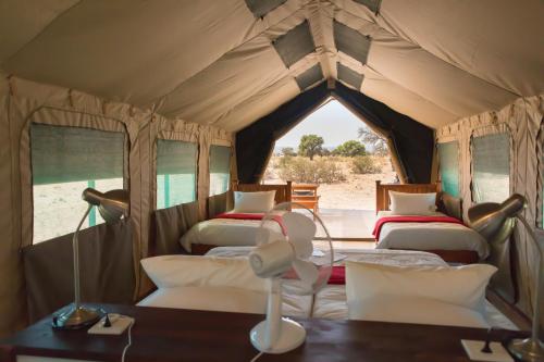 a room with four beds in a tent at Namib Desert Camping2Go in Solitaire