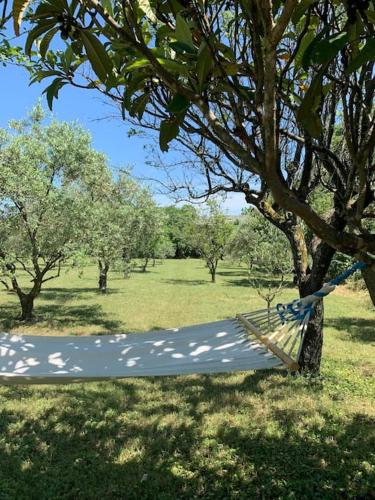 Taman di luar MAS EN DRÔME PROVENÇALE