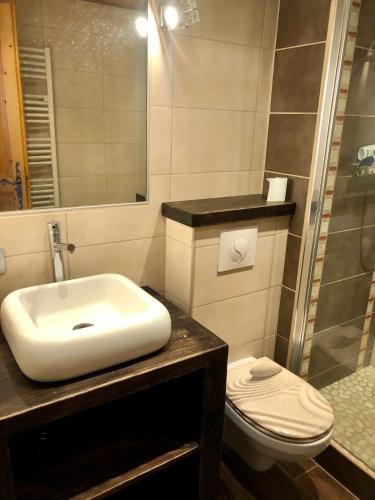 une salle de bain avec un lavabo et des toilettes dans l'établissement Studio Le 4122 - Chamonix centre Clos du Savoy, à Chamonix-Mont-Blanc