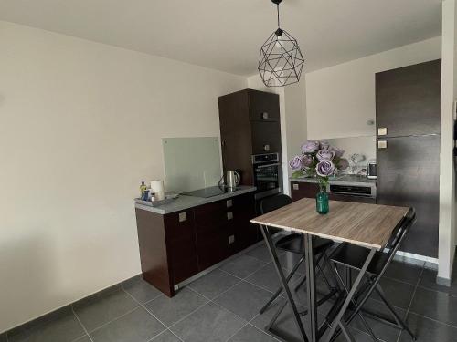 Una cocina o kitchenette en Le Nid Douillet d'Annecy