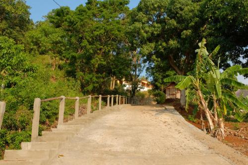a dirt road with a bridge next to trees at Colibri Lodge in Ambatoloaka