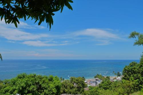 a view of the ocean from a tree at Colibri Lodge in Ambatoloaka