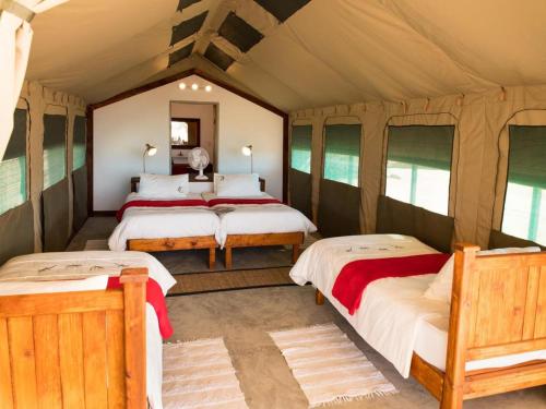 una camera con 3 letti di Namib Desert Camping2Go a Solitaire