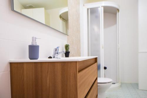 La salle de bains est pourvue d'un lavabo et de toilettes. dans l'établissement MEQUEDO PLAZA SAN FRANCISCO, à Alcañiz