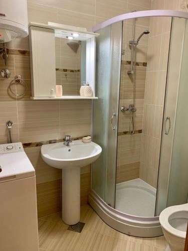 a bathroom with a sink and a shower at Lastochka.mne apartments in Baošići