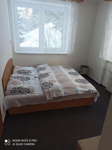 Giường trong phòng chung tại Penzion Modřanka