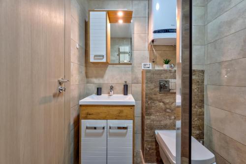 a small bathroom with a sink and a mirror at Apartment Stefan in Vila Katalina Lux in Zlatibor