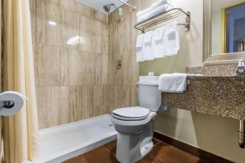 a bathroom with a toilet and a shower and a sink at The Hamburg Hotel in Hamburg