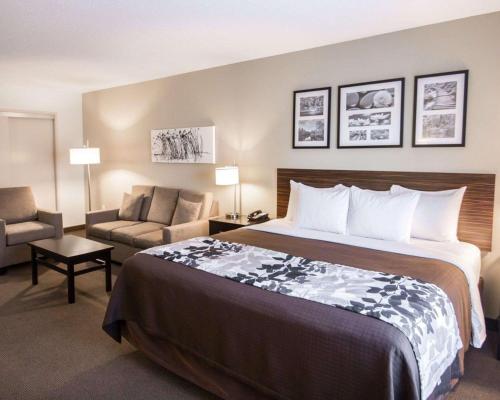 מיטה או מיטות בחדר ב-Sleep Inn & Suites Norton