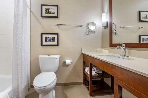 a bathroom with a toilet and a sink at Comfort Suites Columbus Airport in Columbus