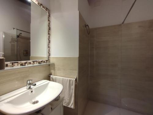 łazienka z umywalką i prysznicem w obiekcie Apartamento 2, Chalet Manzano a 15" de Sevilla, a 30" del Aeropuerto de Sevilla w mieście Villanueva del Ariscal
