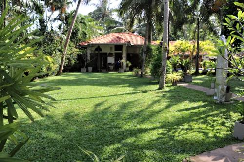 a yard with palm trees and a house at Pavana Hotel in Negombo