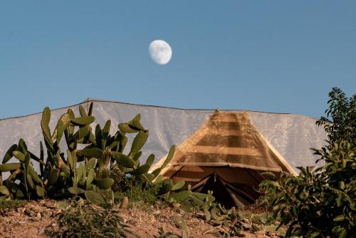 Φωτογραφία από το άλμπουμ του Finca Gaia La Segunda σε Guía de Isora