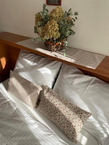 a shelf with a potted plant on top of a bed at Útulna Craft - penzion Veronika in Pec pod Sněžkou