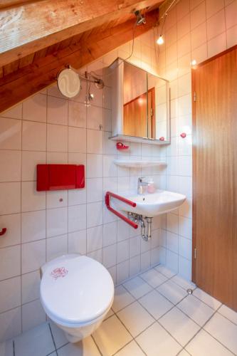 a bathroom with a toilet and a sink at FeWo Immenstaad 2 in Immenstaad am Bodensee