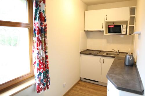 a kitchen with a sink and a microwave at Penzion Krizky in Malá Skála