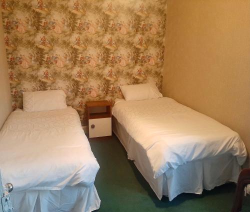 a room with two beds and a wall with a wallpaper at Railway Bar Apartment in Poyntz Pass