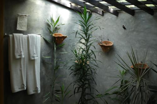a bathroom with plants and towels on a wall at Pavana Hotel in Negombo