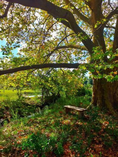 Jardín al aire libre en Casa de campo - retiro con encanto en las sierras