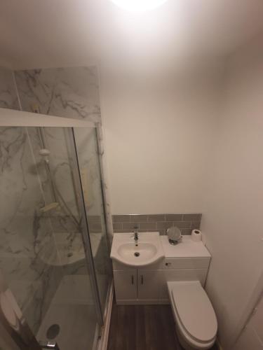 a bathroom with a toilet and a sink and a shower at Central 2 bed apartment in Wolverhampton