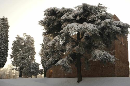 a tree covered in snow next to a building at Al Leone di San Marco LUXURY & RELAX in Noale