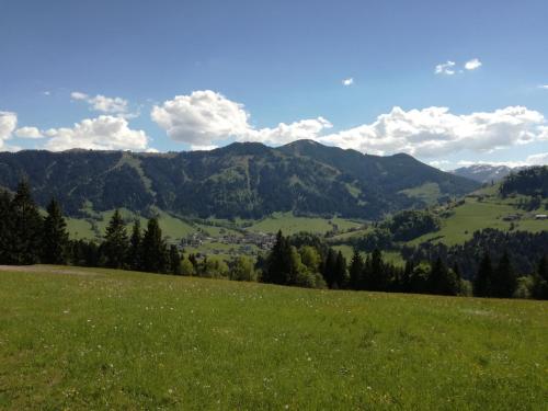 a green field with mountains in the background at Ferienwohnung Aschaber in Wildschönau