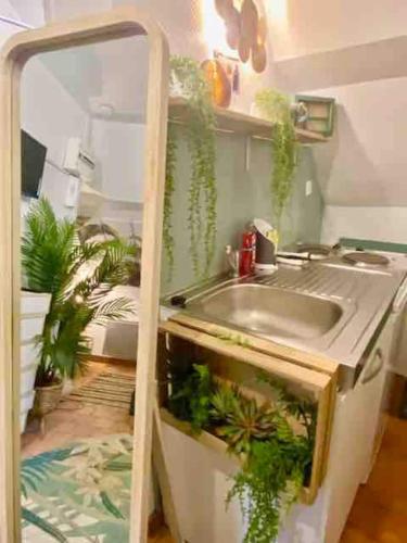 une cuisine avec un évier et des plantes. dans l'établissement Escale Tropicale à Blois, à Blois