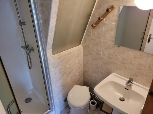 a bathroom with a shower and a toilet and a sink at Gîte Mélisse in Mouilleron-le-Captif