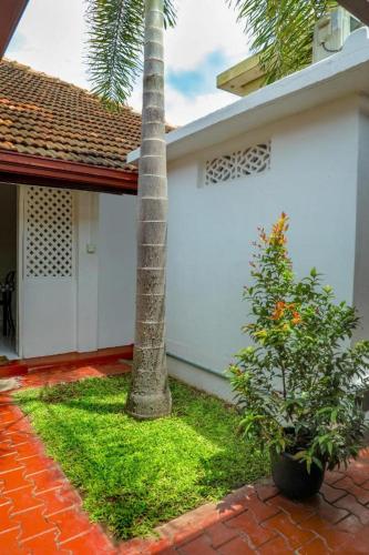 a house with a palm tree next to a building at Bon Voyaage Tourist Inn in Trincomalee