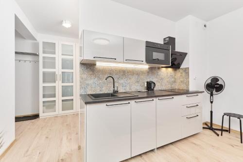 Kuchyňa alebo kuchynka v ubytovaní Studio Księcia Witolda 32 by Noclegi Renters