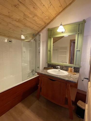 a bathroom with a sink and a shower and a mirror at Duplex - 4 personnes ARC 1950 in Arc 1950